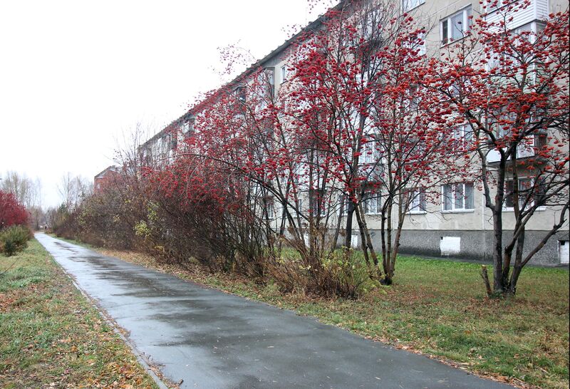 Файл:Магистральная 53б (4).jpg