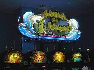 Full house 3 (Сибирский неон).jpg