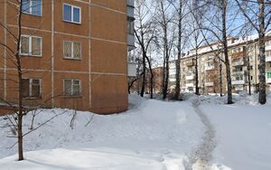 Новогодняя 12 (4).jpg