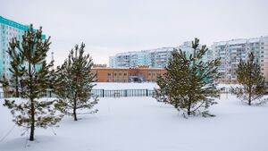 Татьяны Снежиной 45-5 (3).jpg