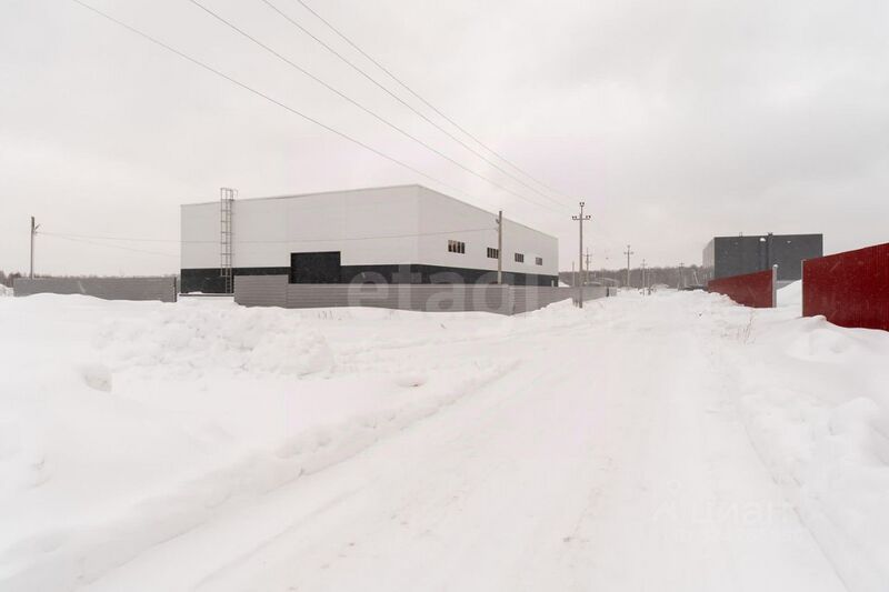 Файл:Векторное шоссе 51 1.jpg