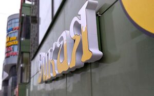 Дикая Утка (3) (Сибирский неон).jpg