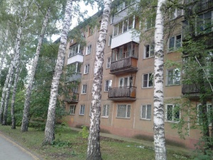 Новогодняя 18.jpg