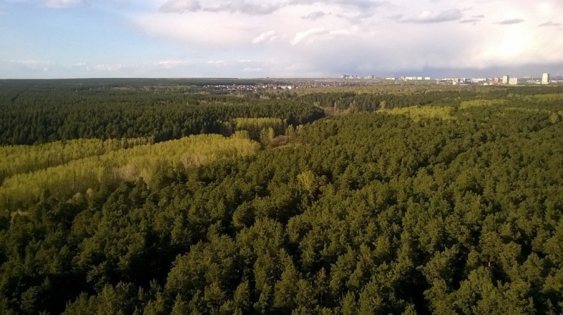 Файл:Сухарная 101-1 (1).jpg