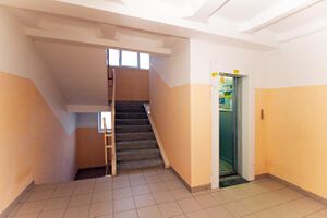 Татьяны Снежиной 41-1 (4).jpg