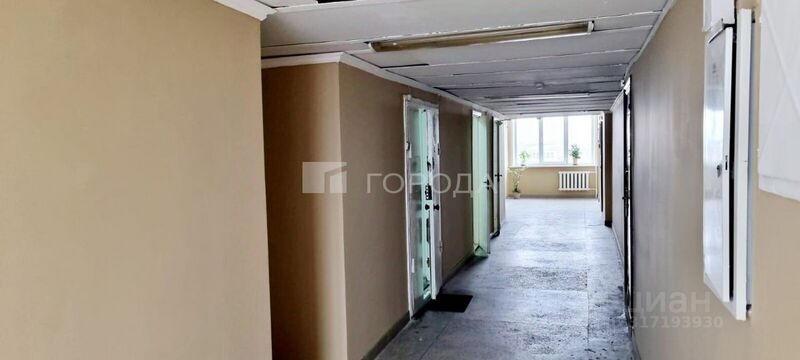 Файл:113786216 2.jpg