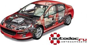 Автодок 2.jpg