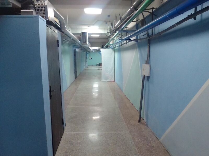 Файл:Фрунзе 5 цоколь (1).jpg