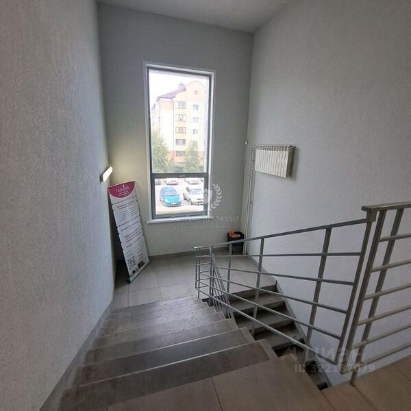 Файл:Фламинго 15 7.jpg