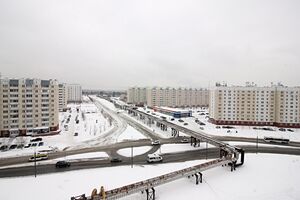 Татьяны Снежиной 51 (3).jpg