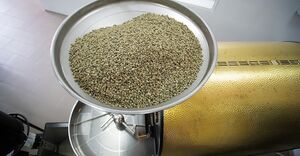 Бодрый День 24.jpg