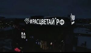 Расцветай (Сибирский неон).jpg