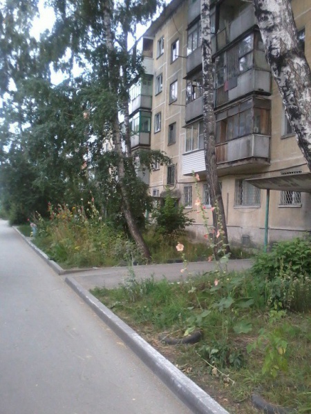 Файл:Степная 47.jpg