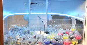 Мангустин 6.jpg