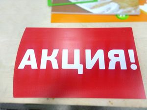 Монетка 3 (Сибирский неон).jpg