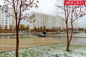 Татьяны Снежиной 51 МОСТ 3.jpg