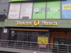 Дикая Утка (Сибирский неон).jpg