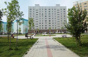 Татьяны Снежиной 43-1 (лето 2).jpg