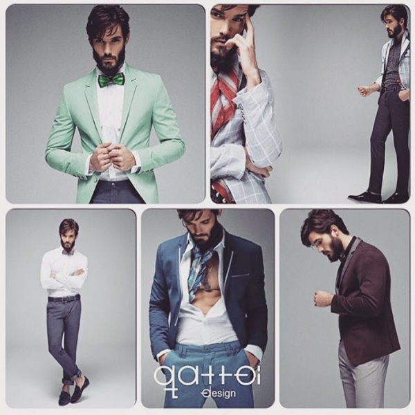 Файл:Gattoi Design.jpg