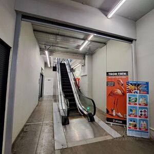 Фламинго 15 3.jpg