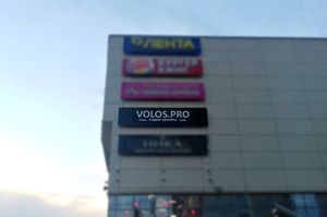VOLOS.PRO (Сибирский неон).jpg