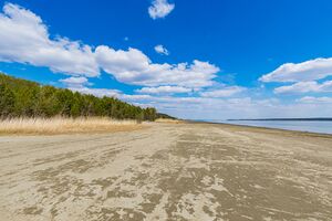 Кооператор 9.jpg