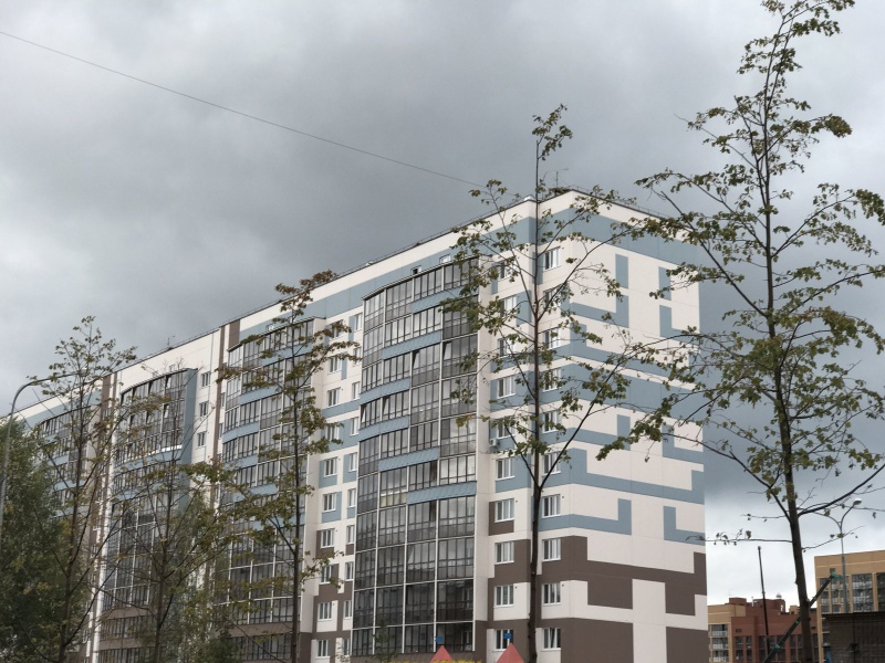 Файл:Тюленина 28-1.jpg