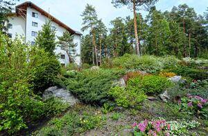 Дачное шоссе 2 (6).jpg