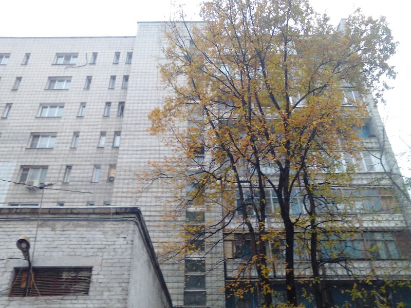 Файл:Фрунзе 2б.jpg