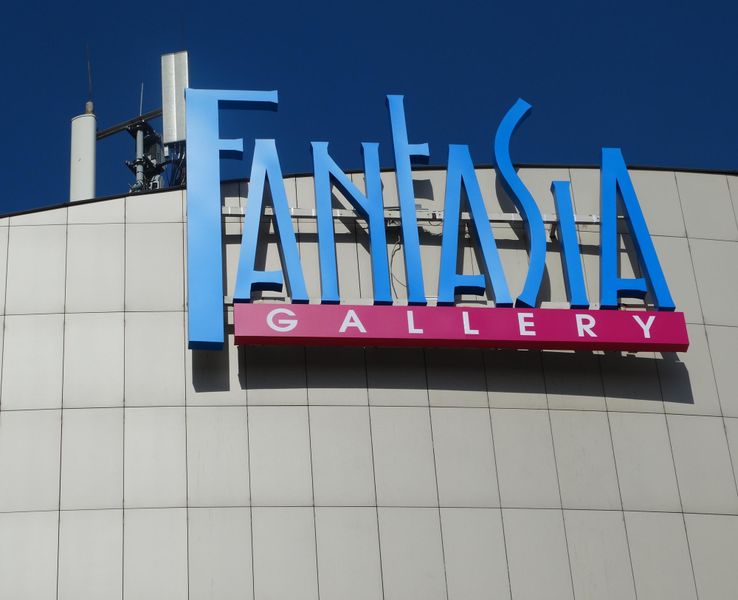 Файл:Fantasia (Сибирский неон).jpg