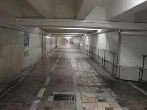 Студенческая (подземный переход).jpg